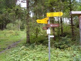 Segnaletica nel bosco a Le Progrès m 960 (23313 bytes)